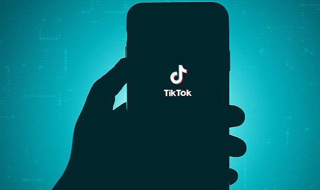 TikTok'ta gizliliği korumanın beş yolu